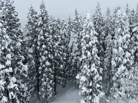 Resort Hotel Alp主图