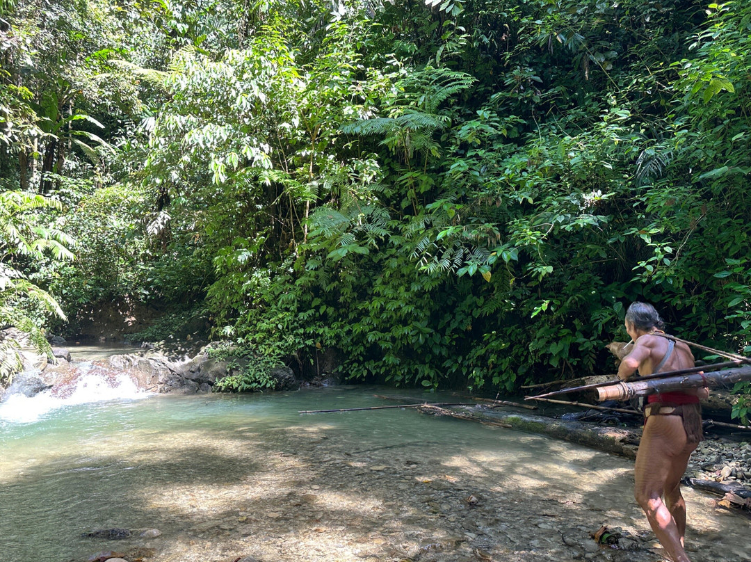 Mentawai Tribe Tour Specialist