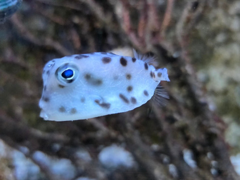 Aquarium du Limousin-利摩日必去景点