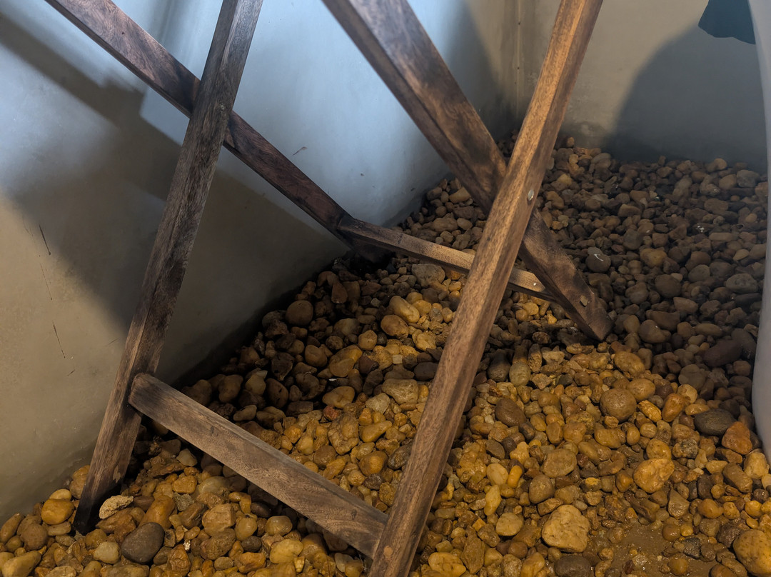 加勒丛林阁楼主图