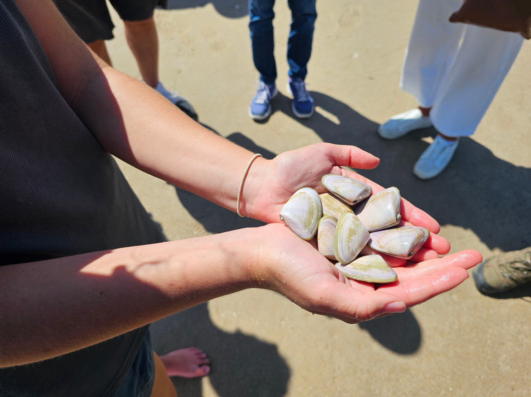 Spirit of the Coorong Cruises-Goolwa必去景点