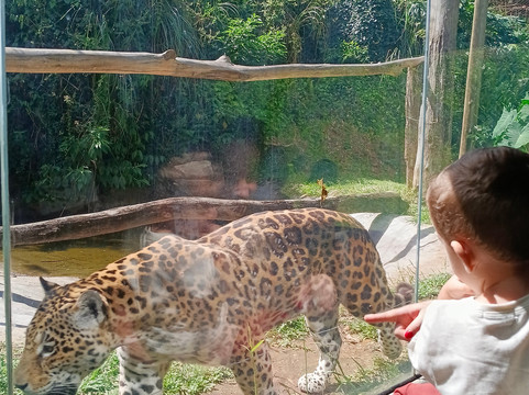 Gramadozoo-格拉玛多必去景点