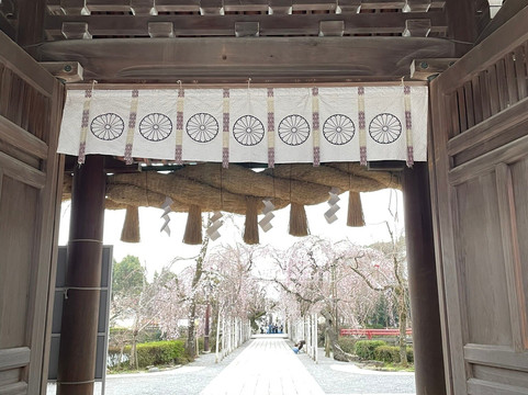 三嶋大社-三岛市必去景点