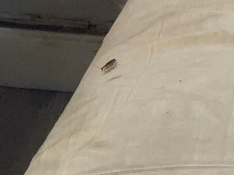 厄斯贝特酒店主图