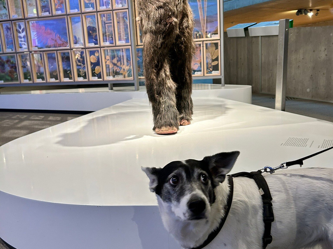 Neanderthal Museum-Mettmann必去景点