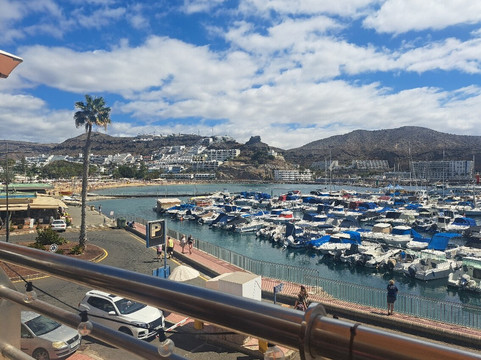 Panda Ocean Club主图