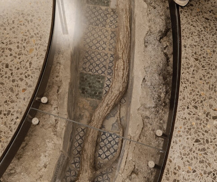 Palazzo Butera-巴勒莫必去景点