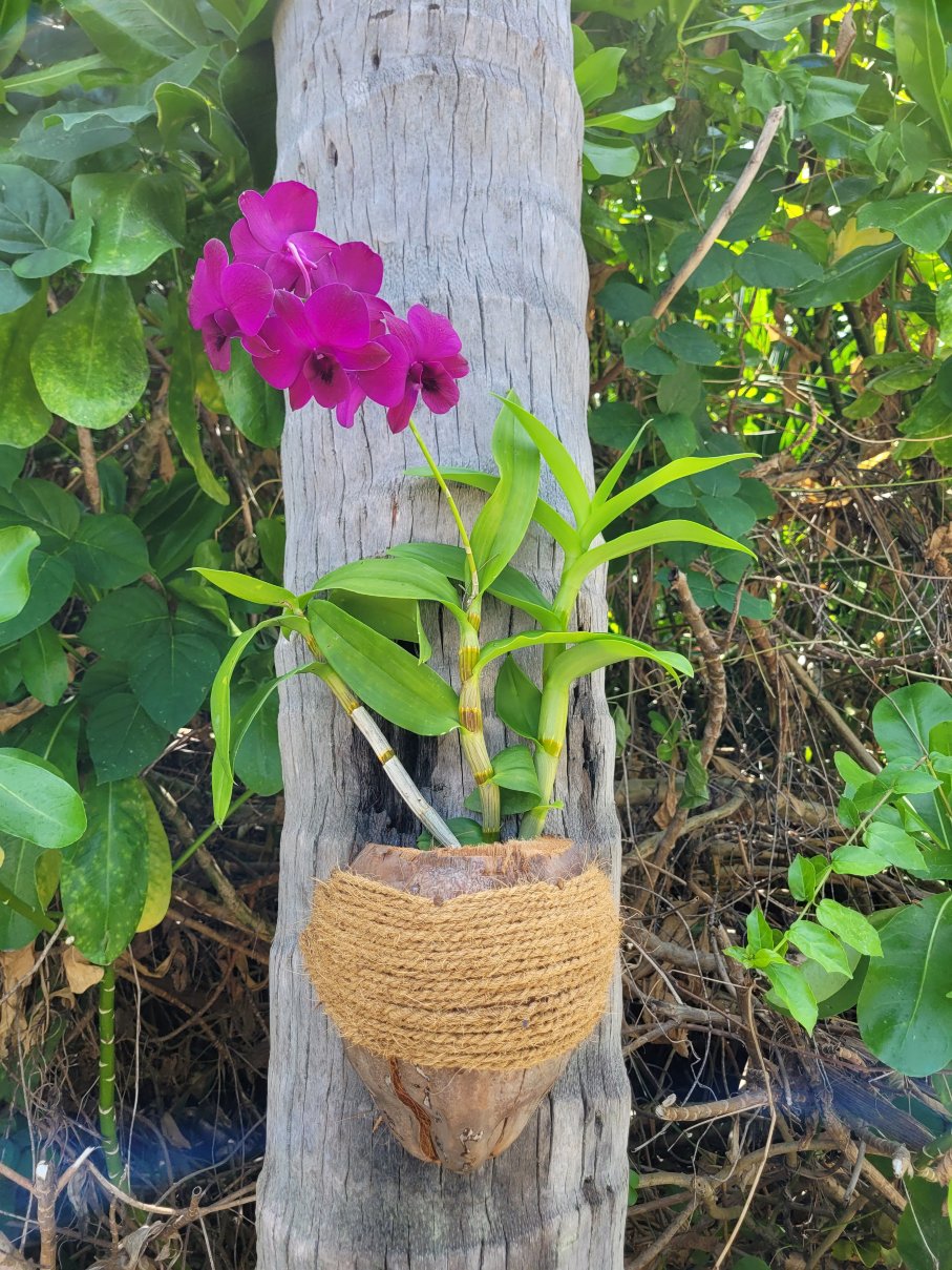 马尔代夫翡翠岛度假村及水疗中心-豪华全包式-浴室