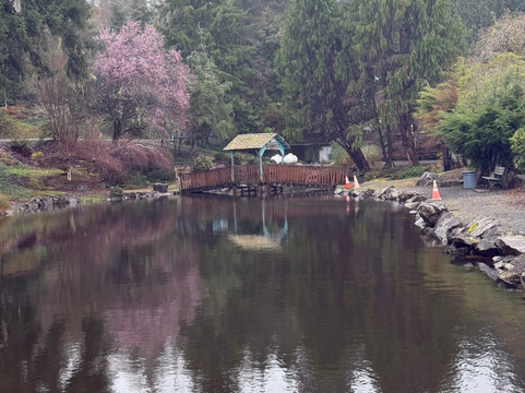 Pacific County Courthouse-South Bend必去景点