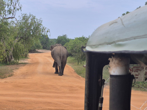 Ceylon Master Tours-Waskaduwa必去景点