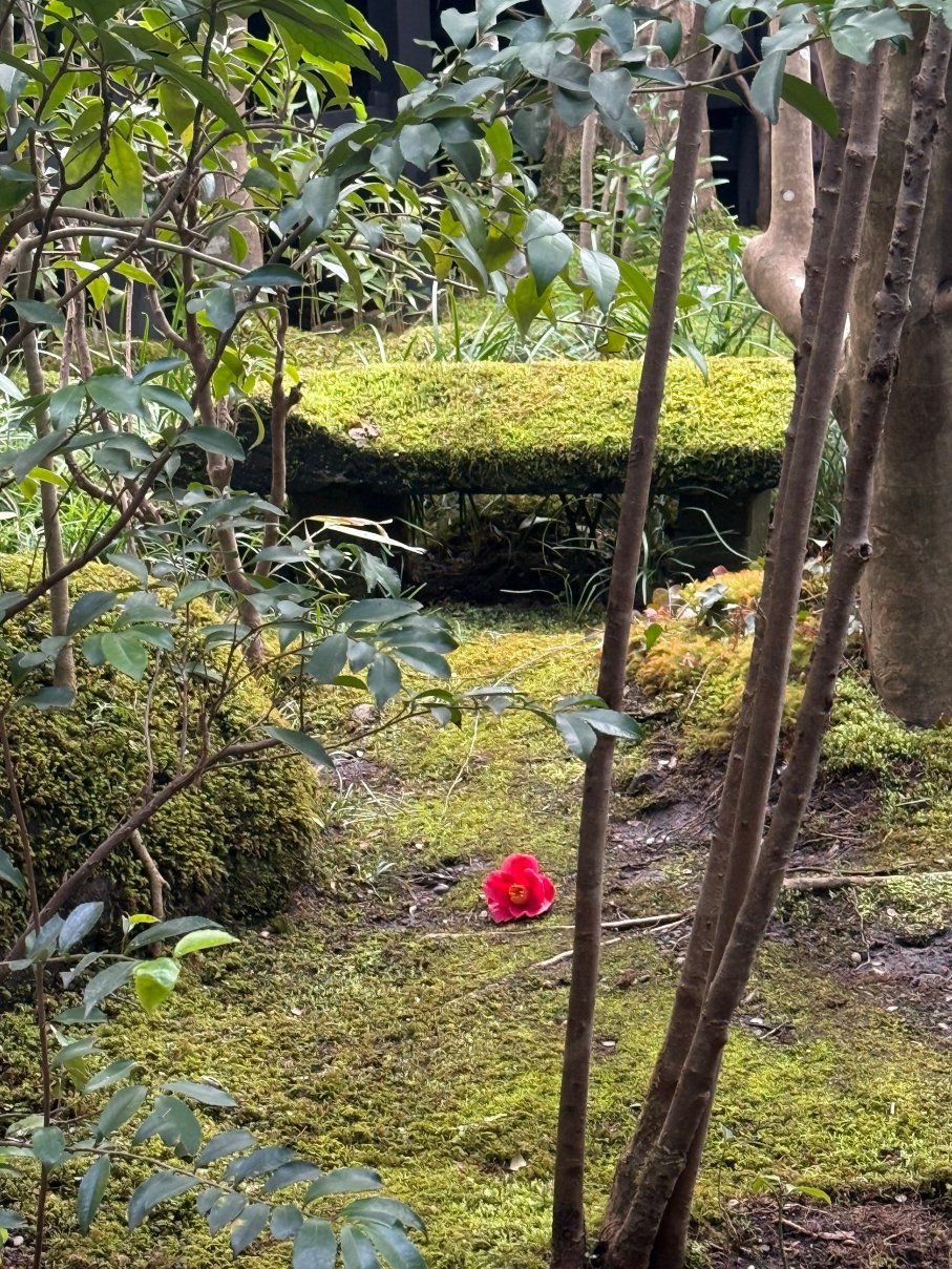 御宿Noshi汤温泉旅馆-官方
