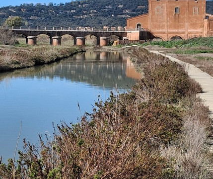 Riserva Naturale Diaccia Botrona-佩斯卡亚堡必去景点