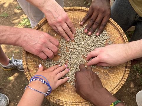 Somewhere in Africa-阿鲁沙必去景点