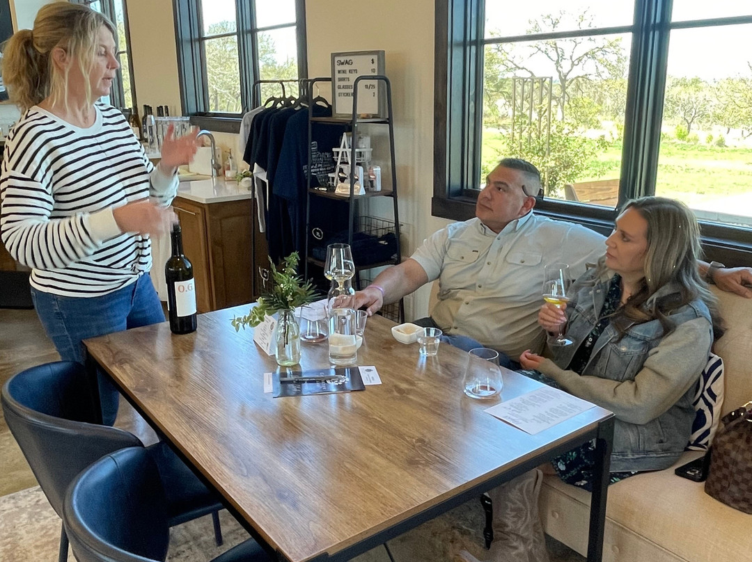 Creekstreet Wine Tours, Inc.-弗雷德里克斯堡必去景点