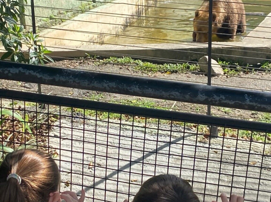 Zoo Pomerode-Pomerode必去景点