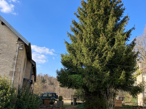 La Manufacture Royale de Bains主图