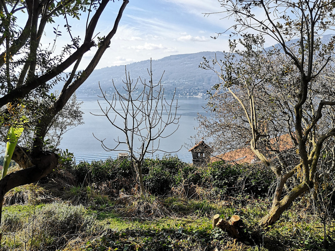 雷纳鲁民宿主图