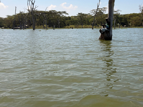 Wave remover Boat Tours Naivasha-Karagita必去景点
