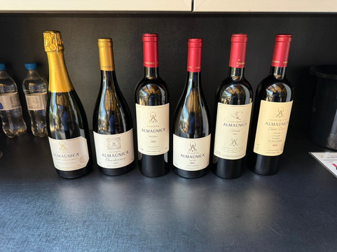 Almaunica Winerie-本图贡萨尔维斯必去景点