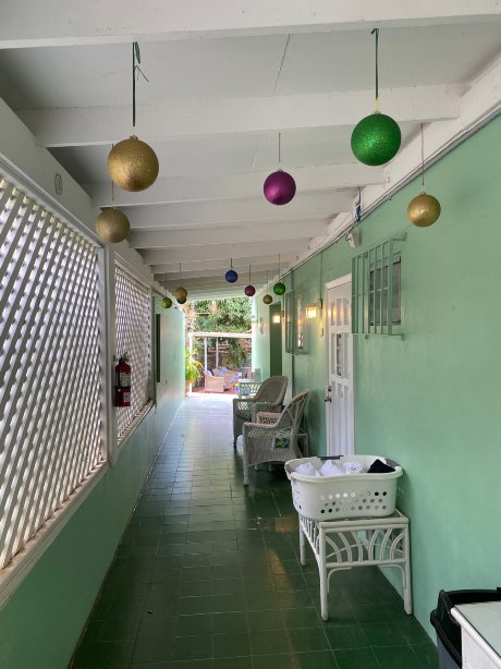 绿鬣蜥酒店-官方