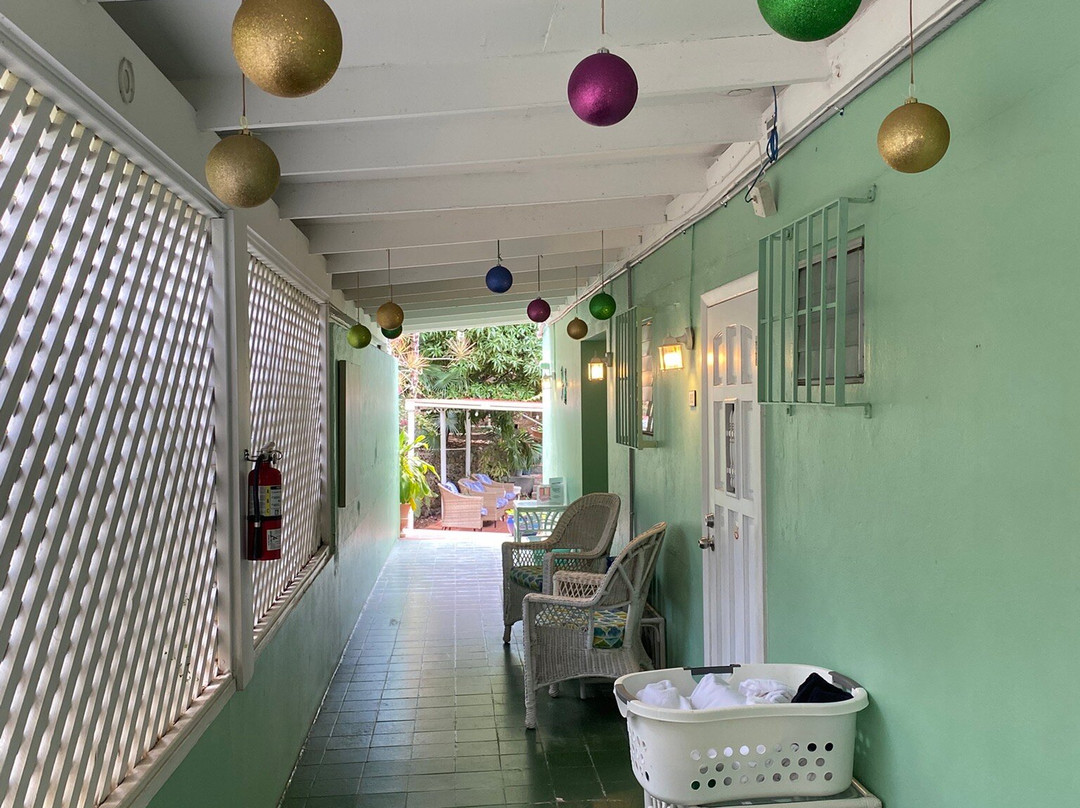 绿鬣蜥酒店主图