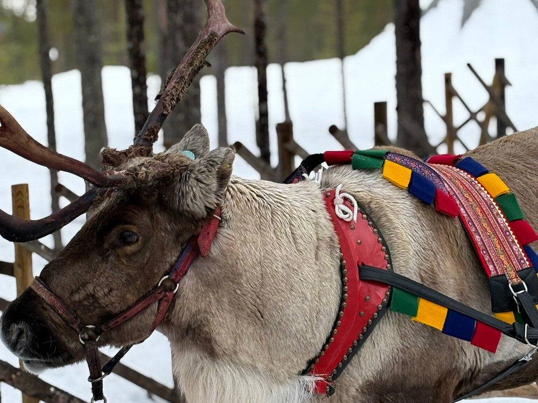 Porovaara Hill-罗瓦涅米必去景点