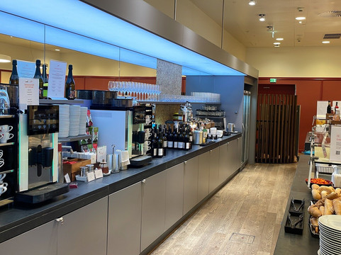 Austrian Senator Lounge-徐威夏特必去景点