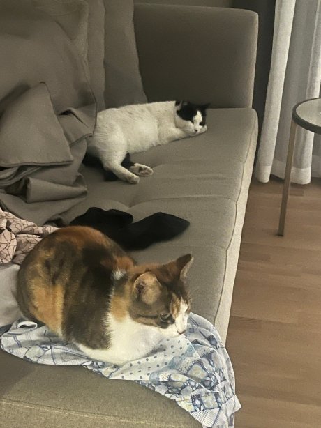 巴鲁特赫墨拉酒店-超全包式-官方