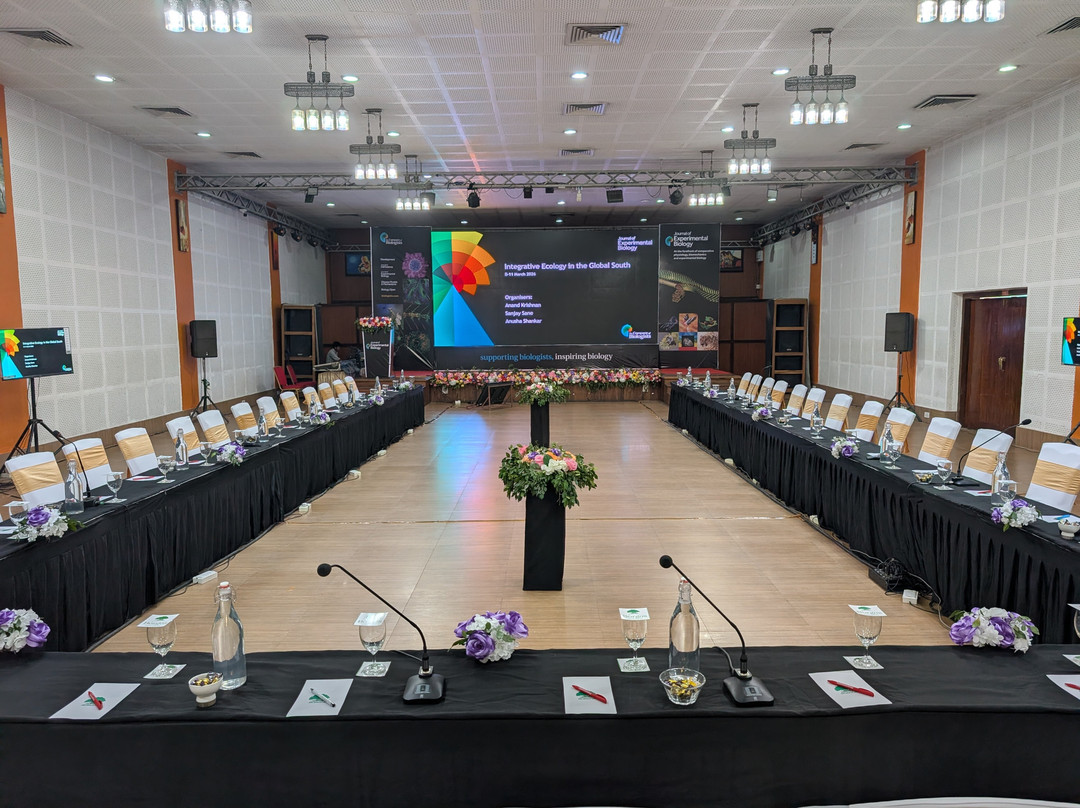 波格斯度假村主图