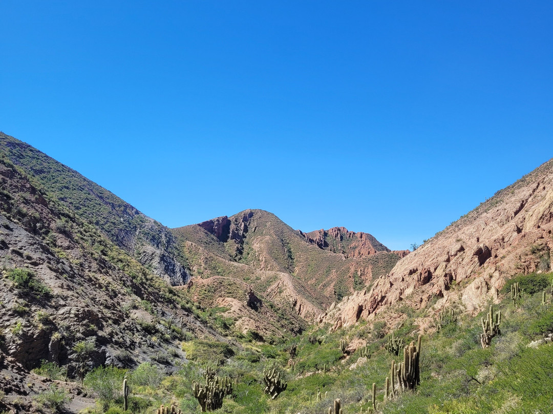 Green Planet Etno Eco Travel-Tupiza必去景点