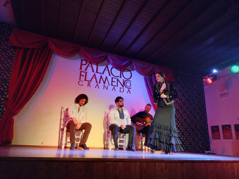 Palacio Flamenco Granada-格拉纳达必去景点