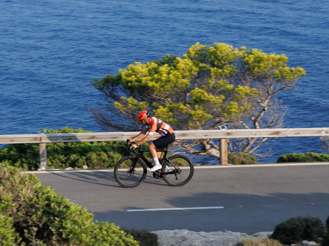 Wheels Sport MALLORCA BIKE HIRE-阿库迪亚必去景点