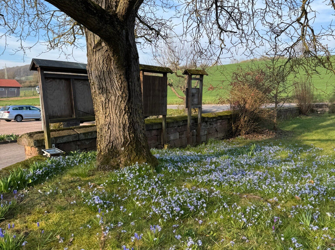 克洛斯特穆尔兰迪伊尔酒店主图