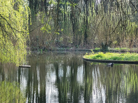 Marwell Zoo-温彻斯特必去景点