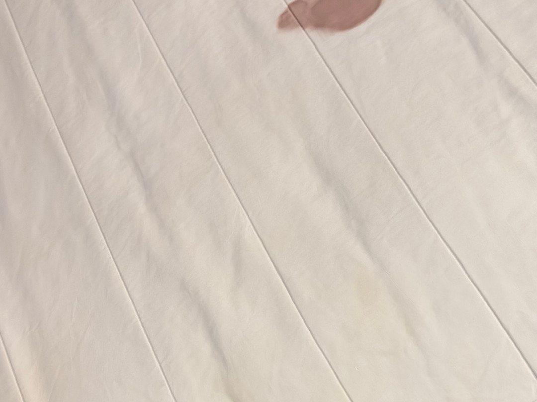 巴克斯特-布雷纳德地区速8酒店主图