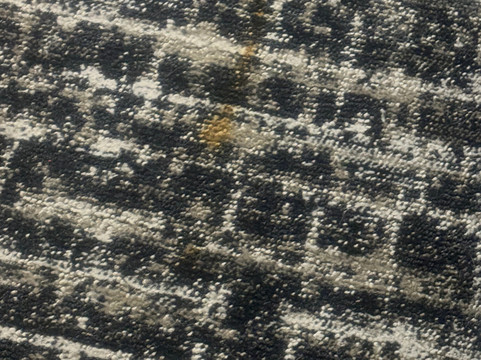 辛辛那提布鲁艾施凯悦嘉轩酒店主图