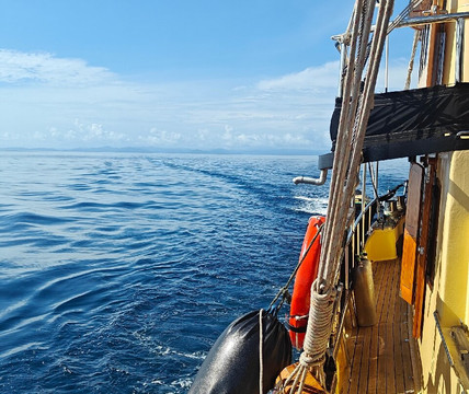 Adelaar | Raja Ampat & Komodo Liveaboard-Serangan必去景点
