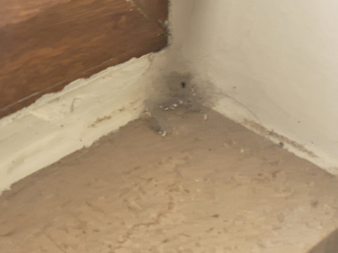 伊拉迪亚酒店主图