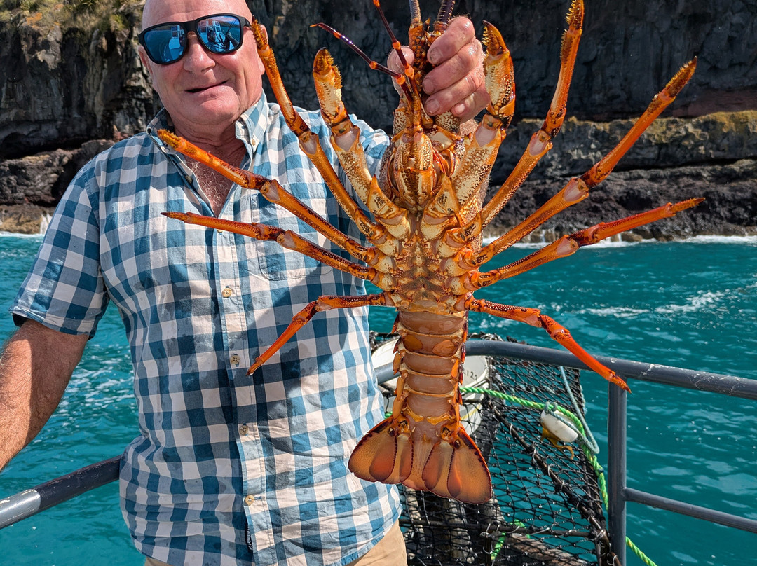 Coast Up Close-阿卡罗阿必去景点