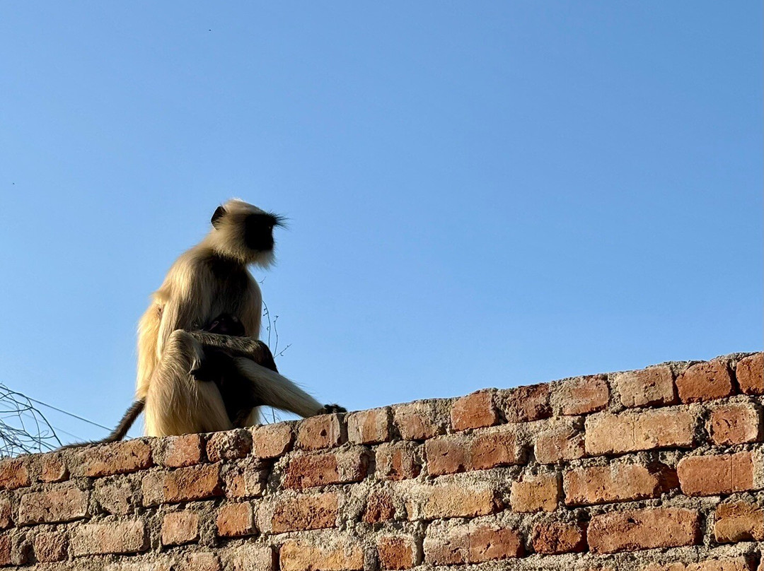 EAZE TOURS-新德里必去景点