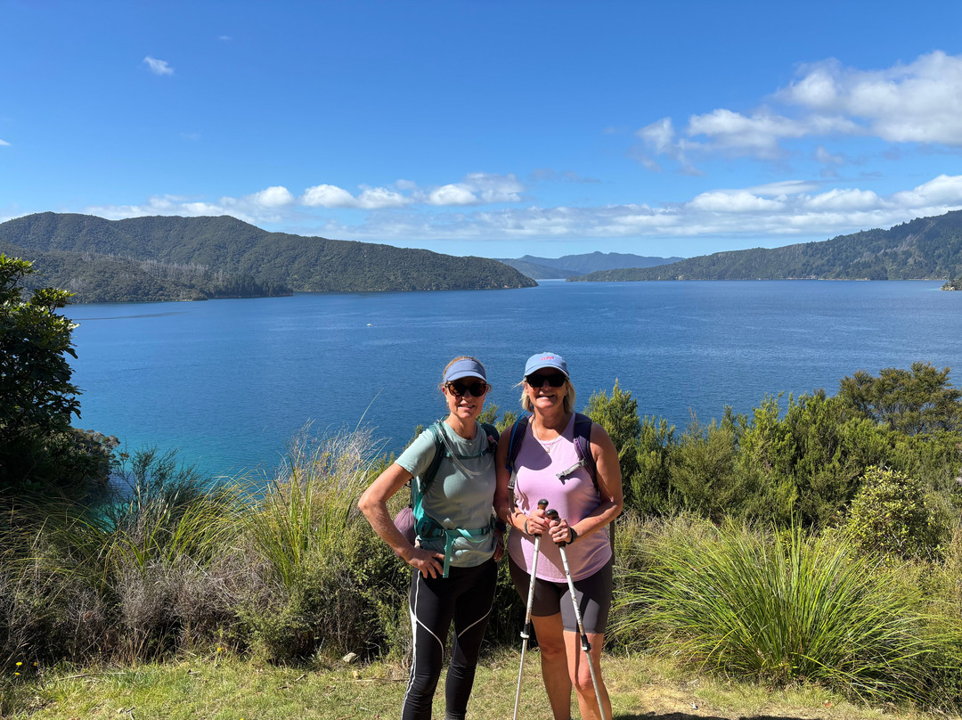 Wilderness Guides - Day Tours-皮克顿必去景点