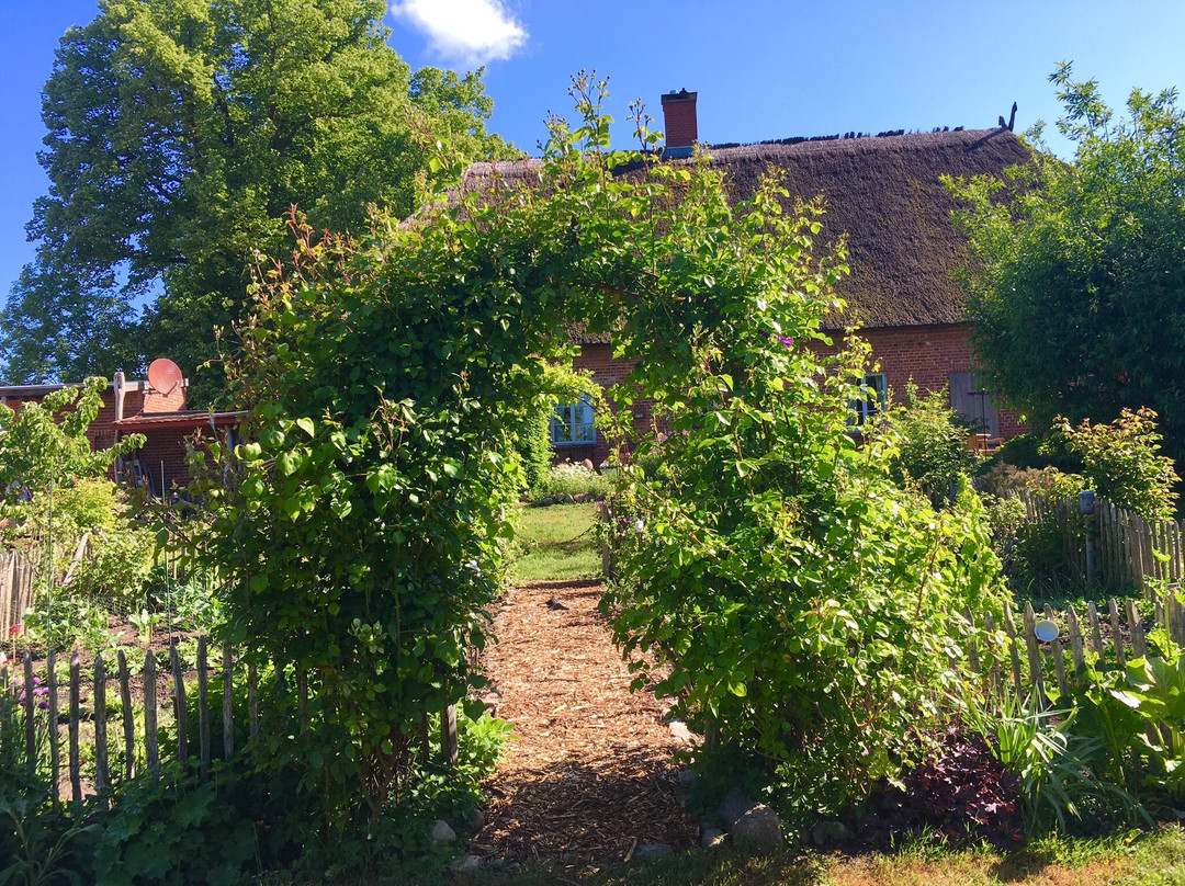 Gartencafe Gutshaus Niendorf主图