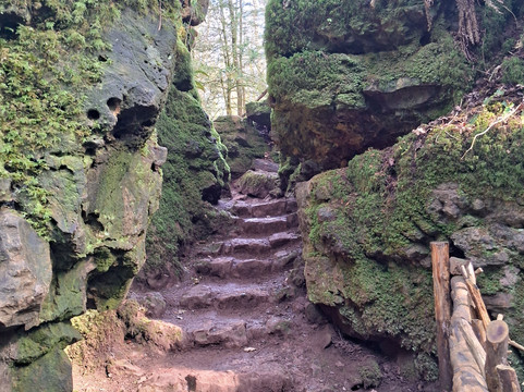 Puzzlewood-Coleford必去景点