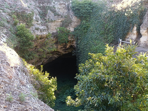 Cave Garden/thugi-芒特甘比尔必去景点