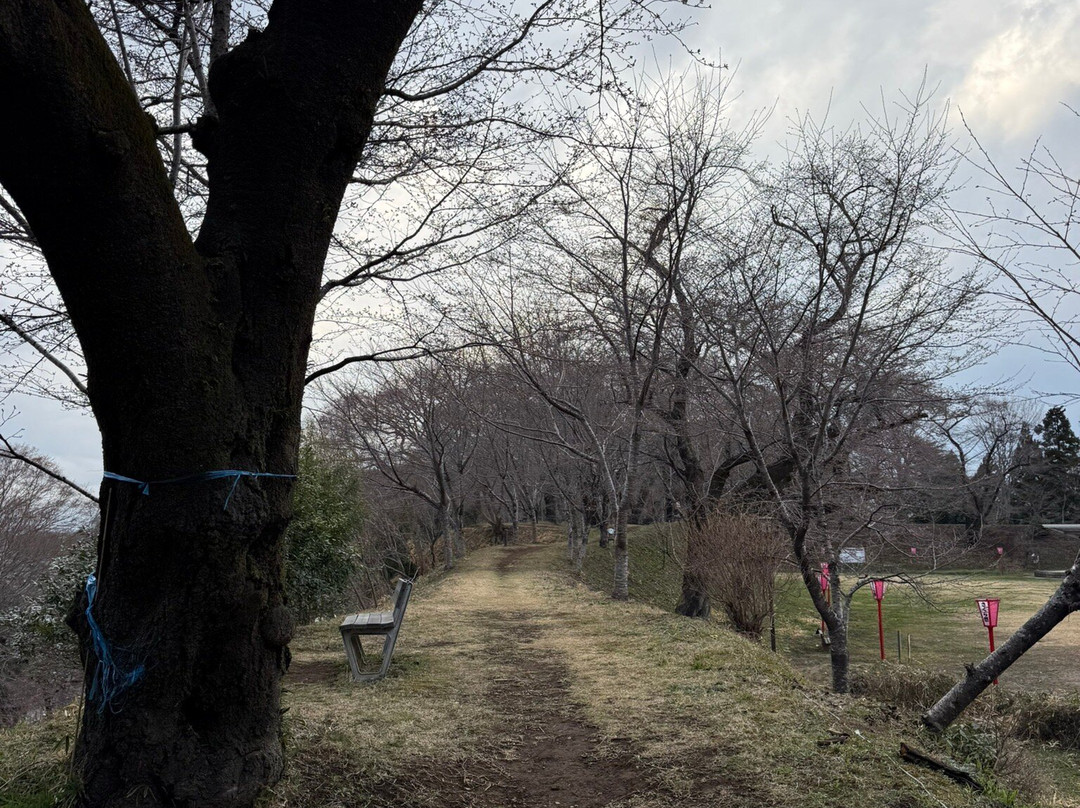 Ryujo Park-太田原市必去景点