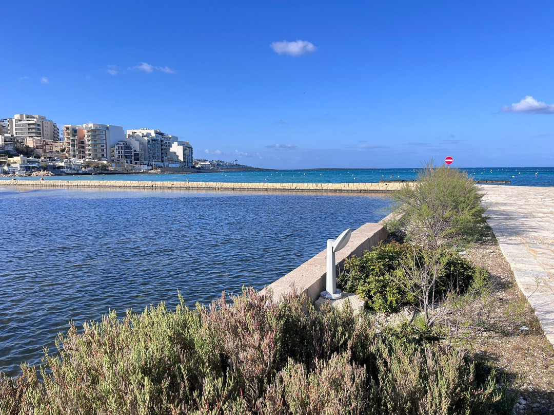Salina Nature Reserve-Naxxar必去景点