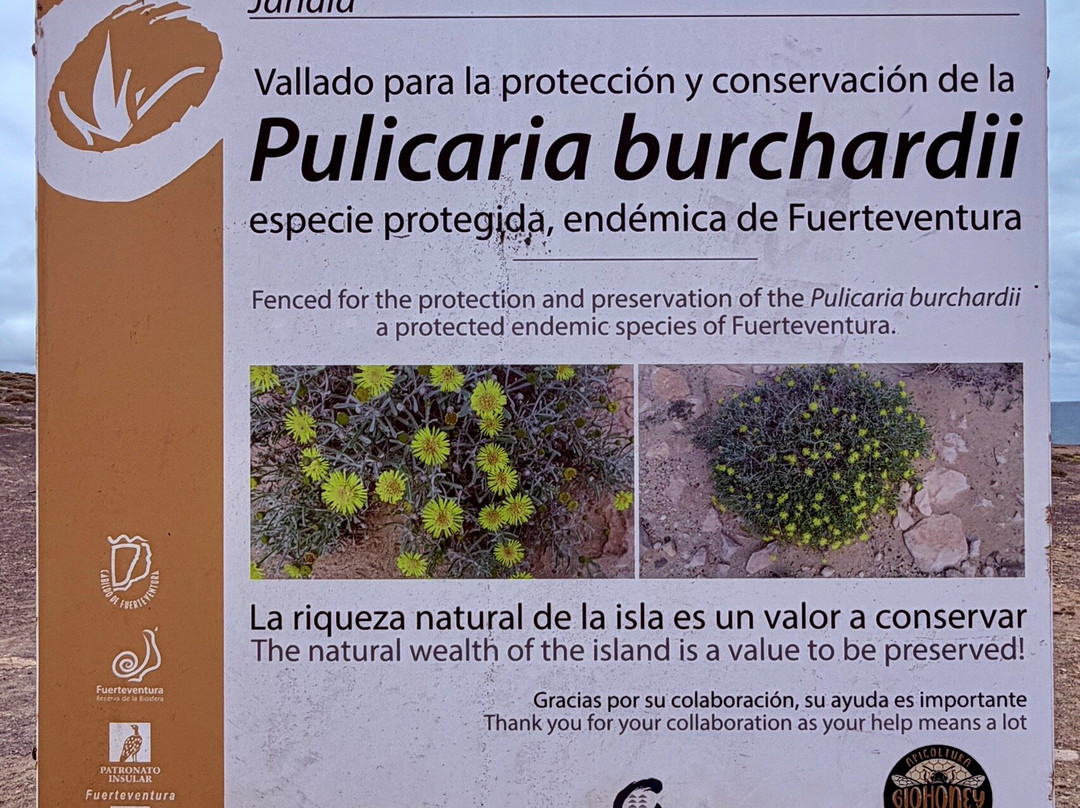 Playa De La Pared-La Pared必去景点