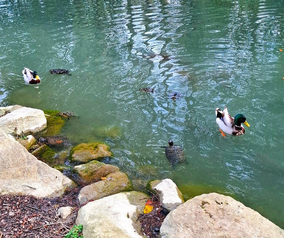 Parco del Neto-卡伦扎诺必去景点