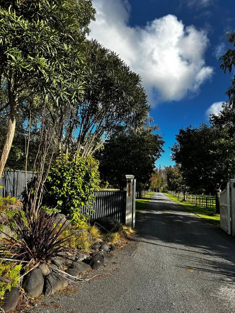 鲁阿佩胡山林小屋-官方