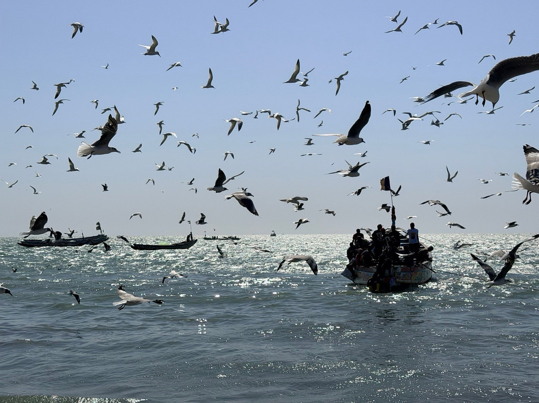 Tour Gambia-Brusubi必去景点